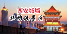 黄色吊插逼中国陕西-西安城墙旅游风景区